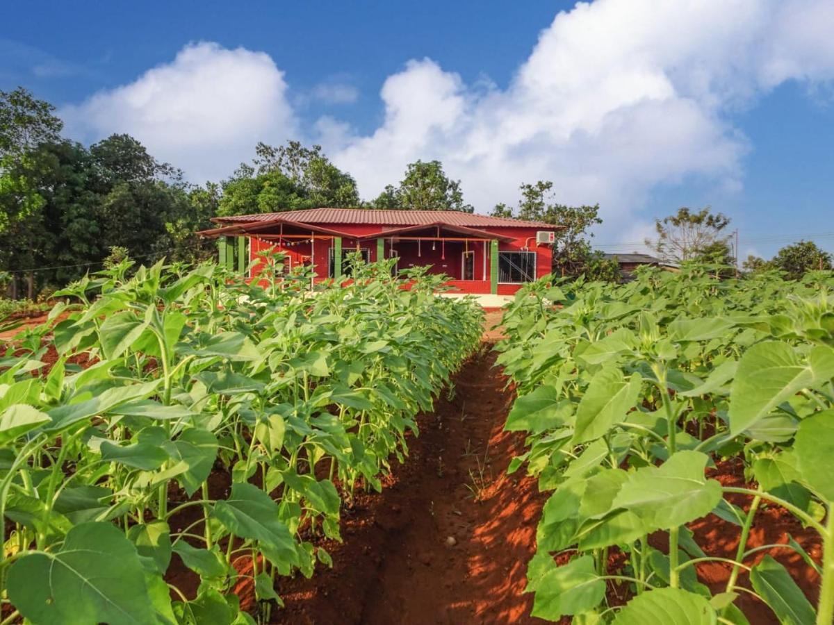 Bhom Aarya Farm B&B 외부 사진